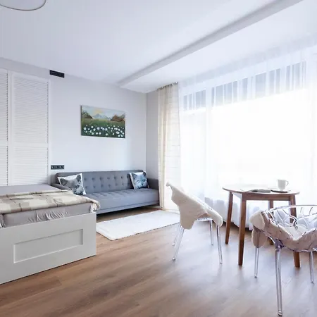 Apartment With A Cat