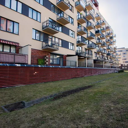 With A Cat Apartment